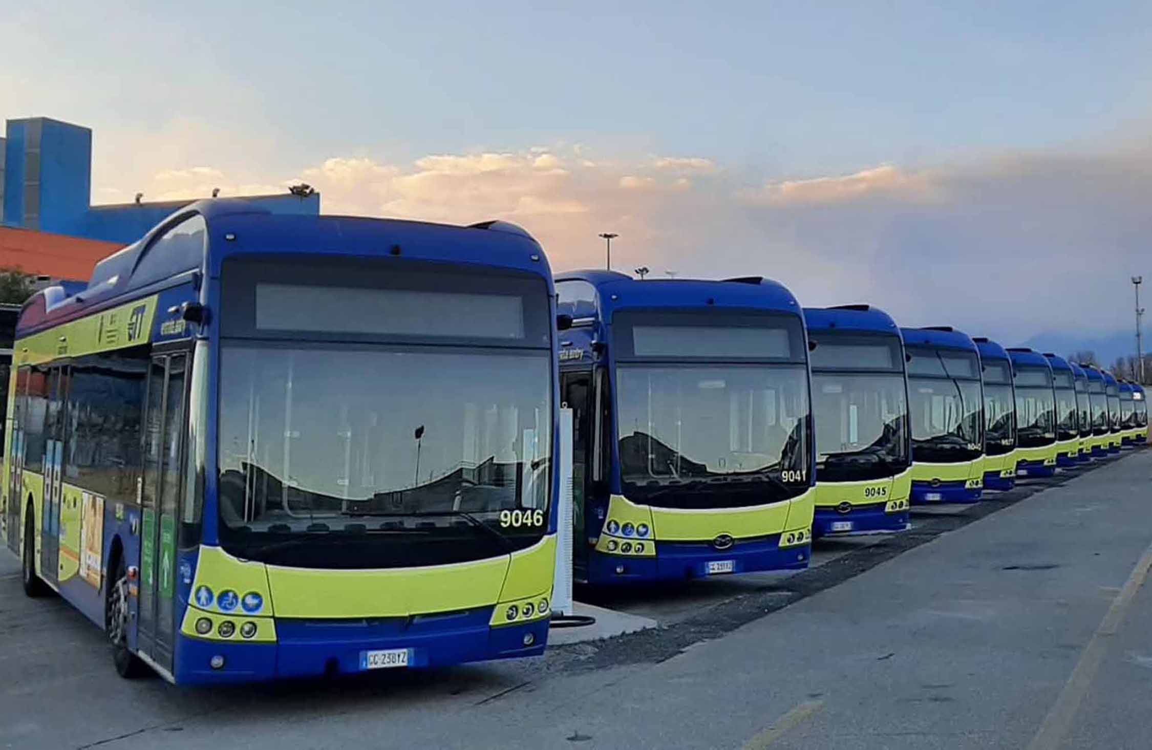 rinnovo-flotte-bus