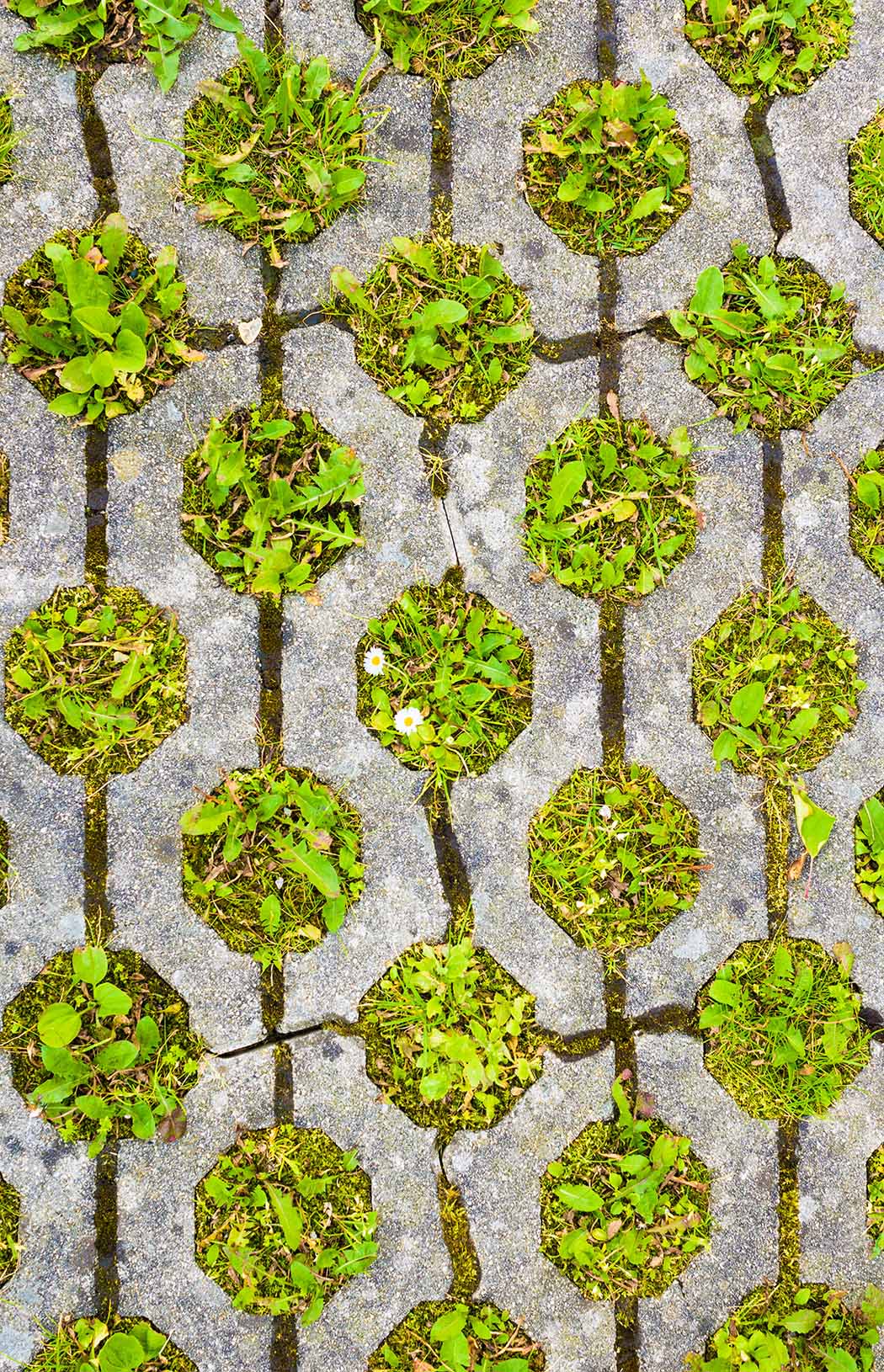 permeable-pavement-with-grass-eco-friendly-parking